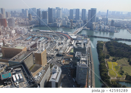東京都中央区築地の風景 42593289
