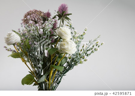 花 白 白色 42595871