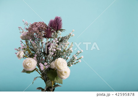 花 白 白色 42595878