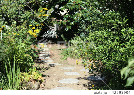 庭の敷石と植物のある風景 42595904