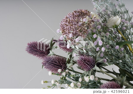 花 白 白色 42596021