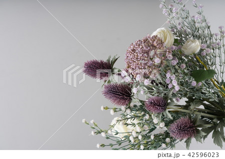 花 白 白色 42596023