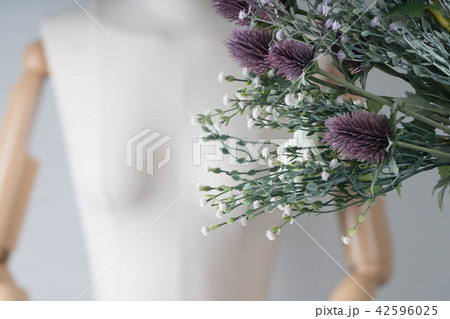 花 白 白色 42596025