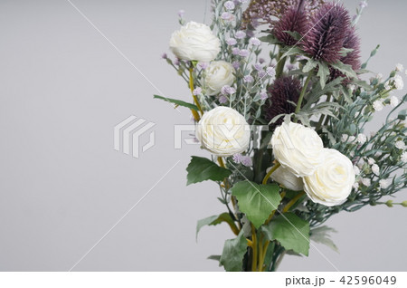 花 白 白色 42596049