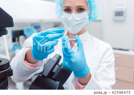 Scientist in laboratory showing dish with fertilized egg cell 42596475