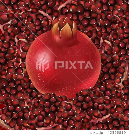 Pomegranate and grain 42596819