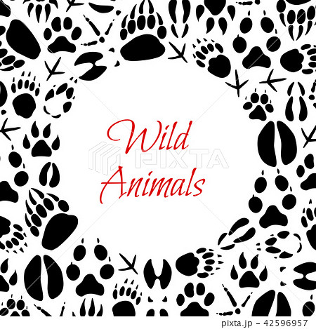 Vector wild animals footprints poster 42596957