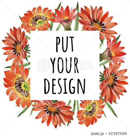 Watercolor orange gazania flowers. Floral botanical flower. Frame border ornament square. Watercolor orange gazania flowers. Floral botanical flower. Frame border ornament square. 42597099