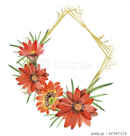 Watercolor orange gazania flowers. Floral botanical flower. Frame border ornament square. 42597123