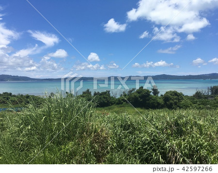 夏の海 夏の海 42597266