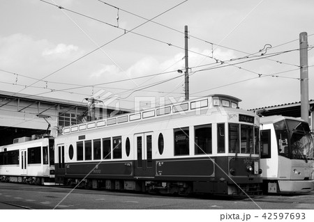 都電荒川線車両(モノクロ) 都電荒川線車両(モノクロ) 42597693