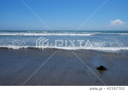 海岸の風景・材木座海岸 42597702