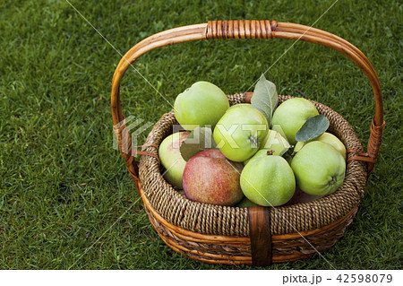 green apple summer garden 42598079