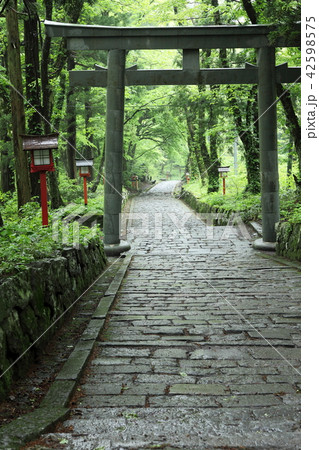 大山　石畳の参道 42598575