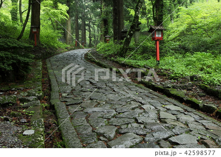 大山　石畳の参道 42598577