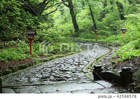 大山　石畳の参道 42598578