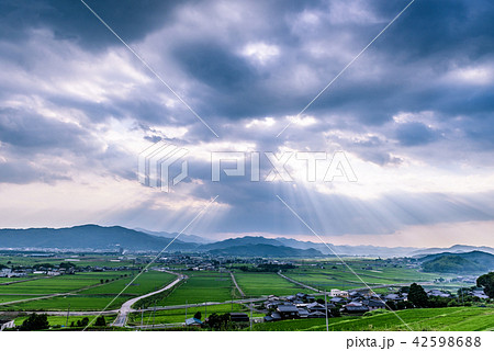 夏の田園風景　京都　亀岡 42598688
