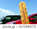 暑い夏223 42599073