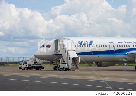 ドリームライナー 42600228