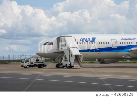 ドリームライナー 42600229