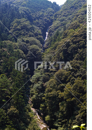 【徳島県・観光名所】鳴滝(全景)遠望 【徳島県・観光名所】鳴滝(全景)遠望 42600402