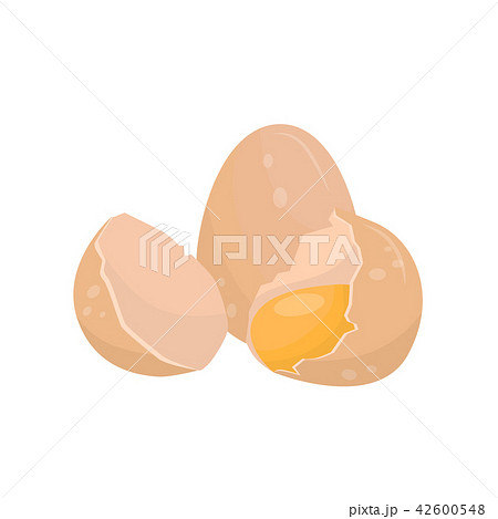 Cracked raw egg vector Illustration on a white background Cracked raw egg vector Illustration on a white background 42600548