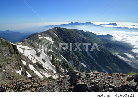 7月の白馬岳山頂からの眺望 42600821