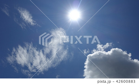 爽やかな夏の空 爽やかな夏の空 42600883