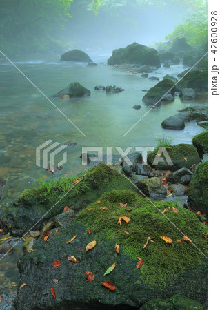 川霧の円原川 42600928