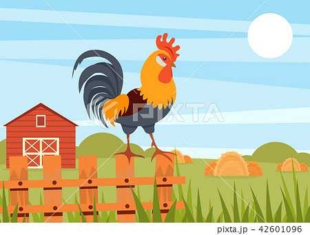 Rooster standing on wooden fence on the background of summer rural landscape and barn vector Rooster standing on wooden fence on the background of summer rural landscape and barn vector 42601096