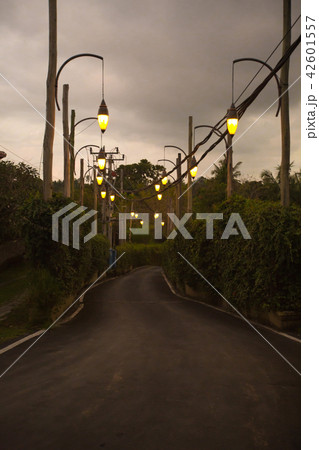 Beautiful park, alley or garden walkway with lamps 42601557