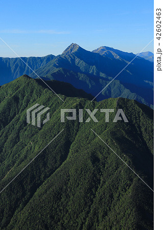 南アルプス　北岳　早川尾根 42602463