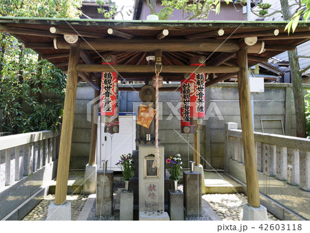 龍泉寺の妙鶴観世音菩薩(_台東区) 龍泉寺の妙鶴観世音菩薩(_台東区) 42603118