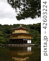 金閣寺 湖 森 42603224