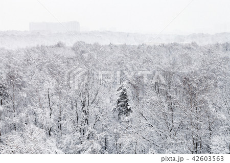 above view of snow covered urban park in winter 42603563