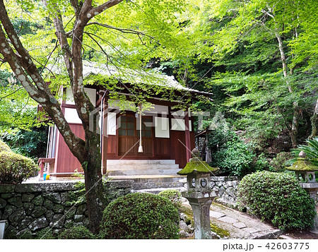 富川渓谷 大雄寺 42603775