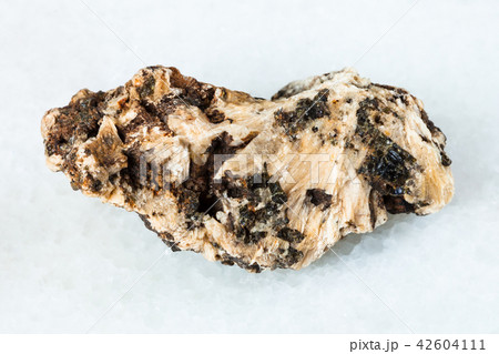 Perovskite stone in raw Clinochlore rock on white 42604111