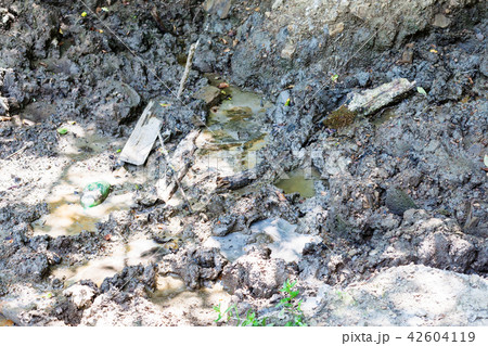 mud pot geyser spring in Shapsugskaya zone 42604119
