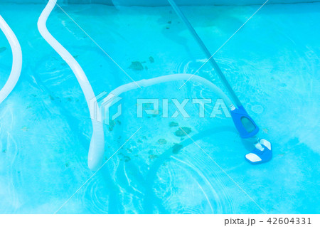 vacuuming of outdoor swimming pool 42604331