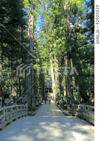 高野山奥之院 42605020