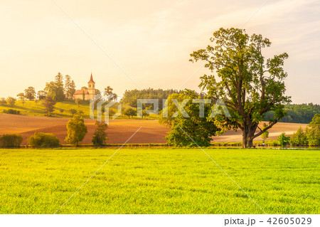Small church in the middle of lush green spring landscape on sunny day. St. Peter and Pauls church 42605029