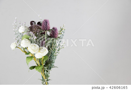 花 白 白色 42606165