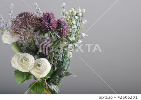 花 白 白色 42606201