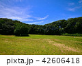 草原 42606418