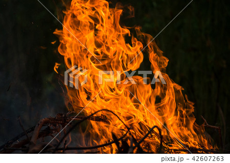 Wildfire burning 42607263