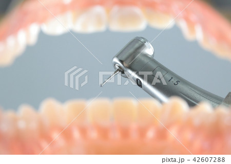 歯科治療ドリル１ 42607288