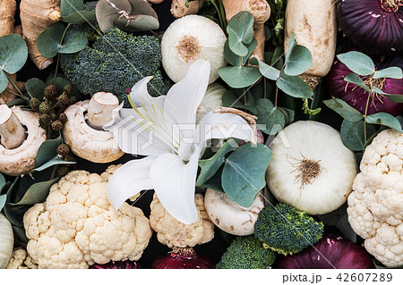 still life from the harvest of ripe vegetables  42607289