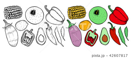 vintage engraving organic vegetables 42607817