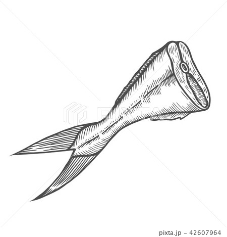 Tail of fish is cut off 42607964