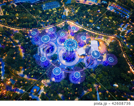 Supertree Grove. Garden by the bay in Marina Bay Supertree Grove. Garden by the bay in Marina Bay 42608736
